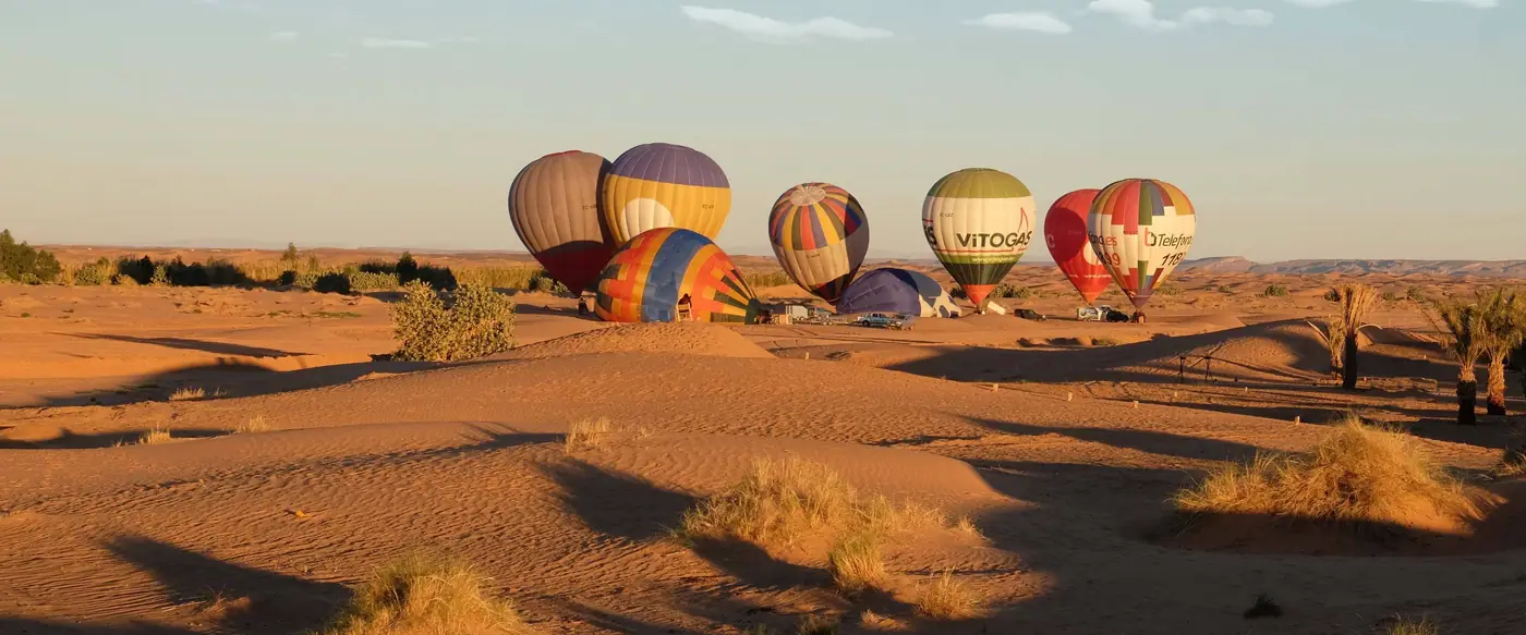 Hot air balloons over the palm groves