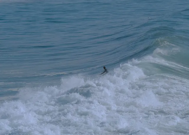 Surfing