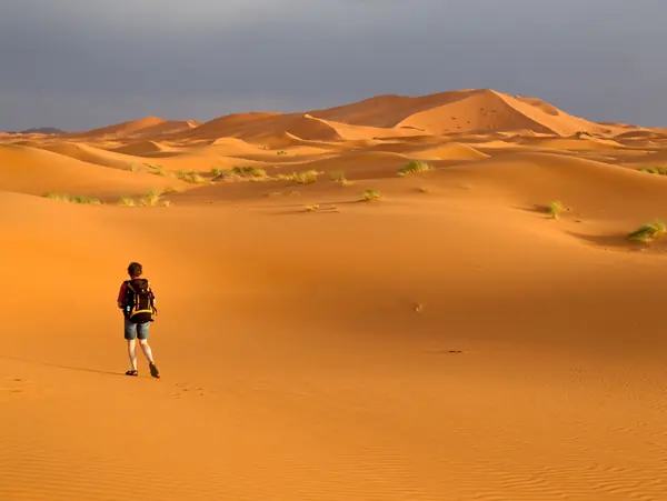 A traveler walking in the dunes of the Sahara
